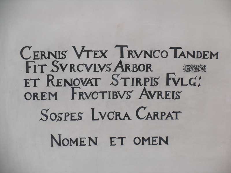 13_Nomen_et_Omen