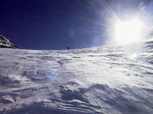 Aut_2814