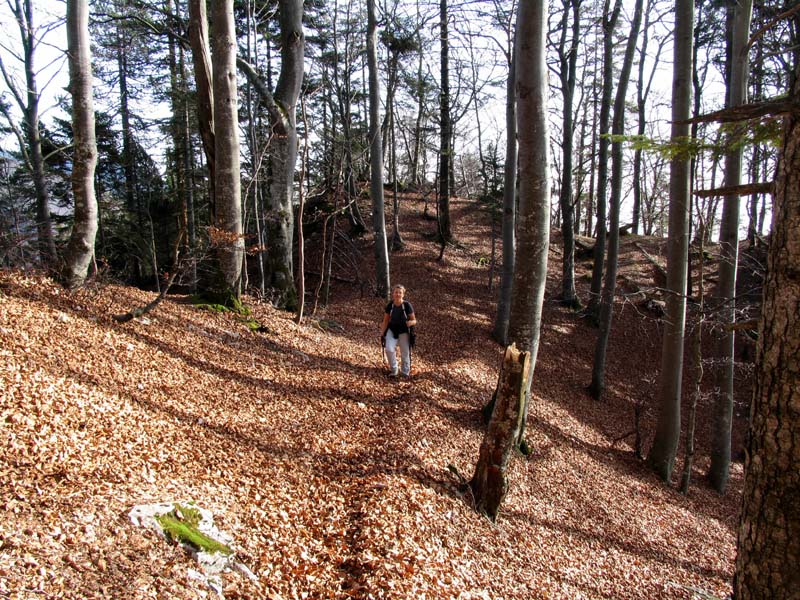 08 auf dem Weg zur Hasenmatte