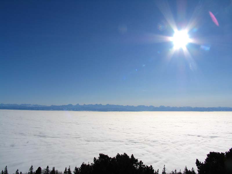 21 Nebelmeer ab Hasenmatte