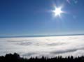 26 und das Nebelmeer bewegt sich