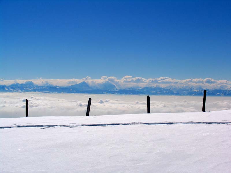 22 im Hintergrund Eiger usw