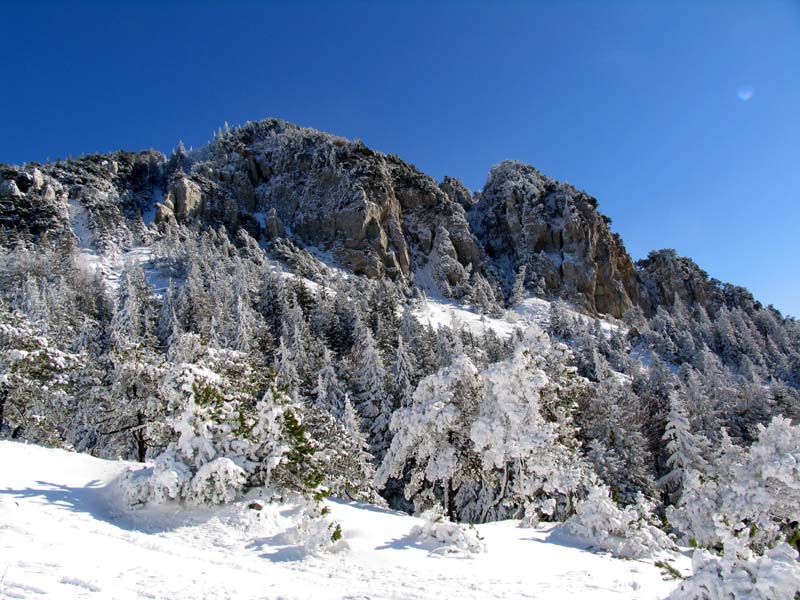 21 Winter an der Hasenmatte