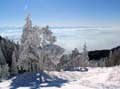17 Wintermaerchen in der Muere
