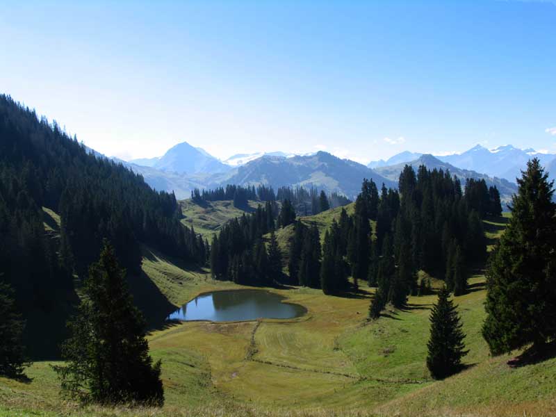 07_Schwarzsee_beim_Sparemoos