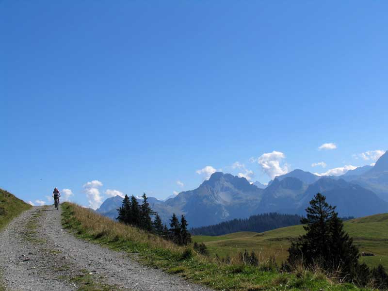 09_sLiseli_und