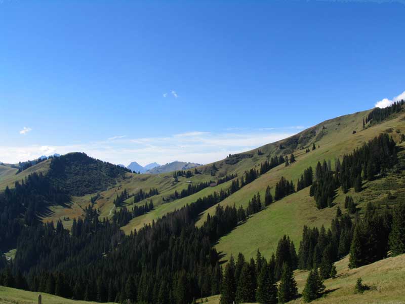 13_Trail_zum_Rellerligrat