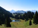07_Schwarzsee_beim_Sparemoos