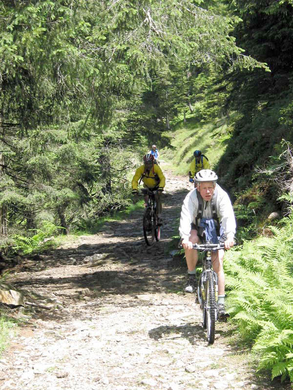 2002_07_12_Gruenenbergpass2